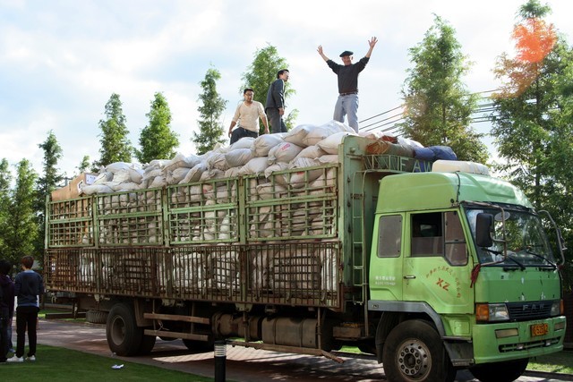 ははは Kawasaki Motorcycle 2002 OEM Parts Diagram for Rear